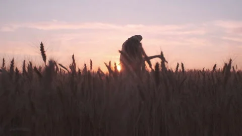 Dramatic choreography dance on the wheat field in sunset light Stock Footage 200877553
