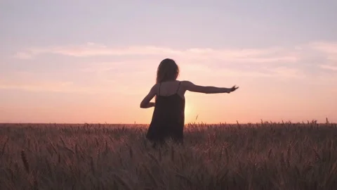 Dramatic choreography dance on the wheat field in sunset light 스톡 동영상 200882684