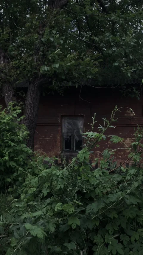 Dramatic cityscape park houses people trees flowers Stock Footage 161075341