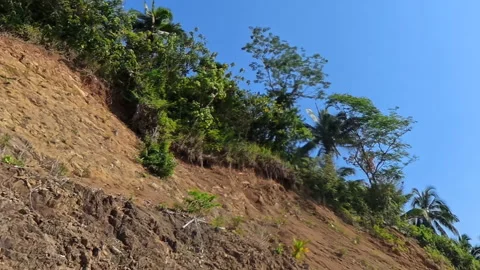 Dramatic cliff side view with lush green trees Stock Footage 339259530