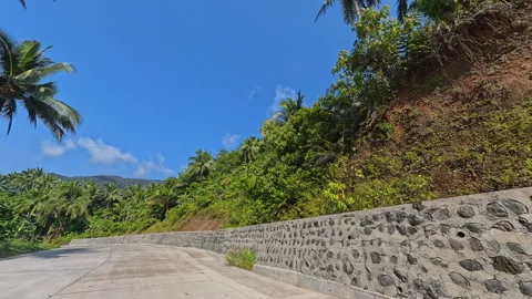 Dramatic cliff side view with lush green trees Stock Footage 344778855