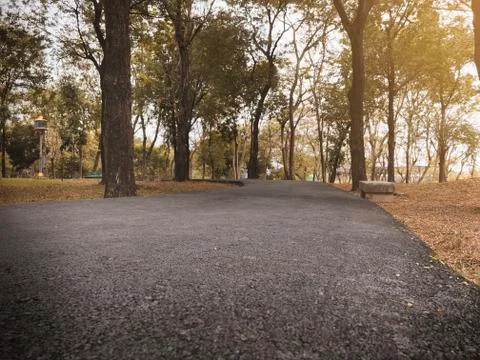 Dramatic cloes up asphalt path way in fall autumn public park with warm light Stock Photos