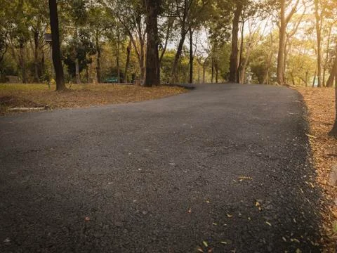 Dramatic cloes up asphalt path way in fall autumn public park with warm light Stock Photos