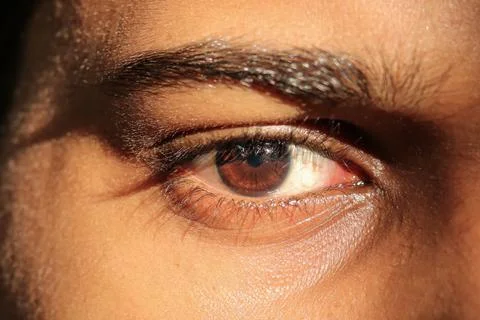 Dramatic close up shot of brown human eye looking forward with angry Stock Photos