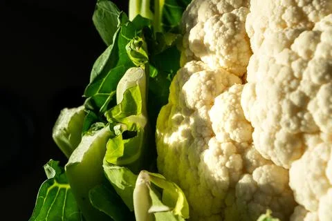Dramatic Close Up of White Cauliflower Stock Photos