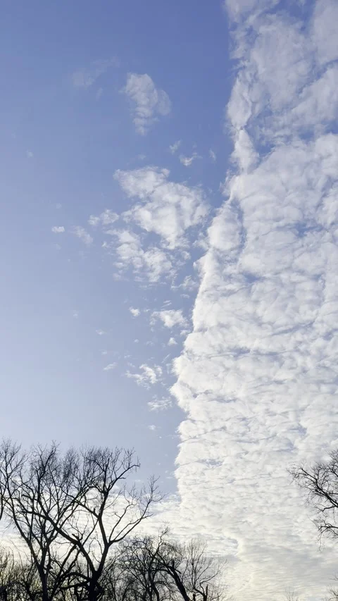 Dramatic Cloud Band Over Blue Sky and Trees Stock Footage 344601275