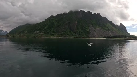 Dramatic cloud capped mountain peak and gliding seagulls over fjord Lofoten 库存影片 344047633