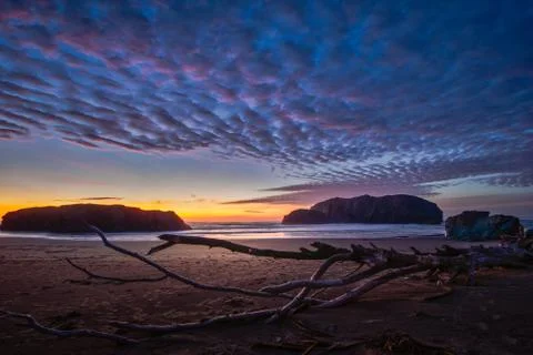 Dramatic cloud formation over a beach at sunset with driftwood. Photos