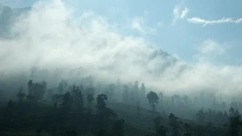 Dramatic cloud movement over tea plantations Stock Footage 278535801