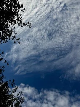 Dramatic Cloud Textures Framed by Leaves Stock Photos