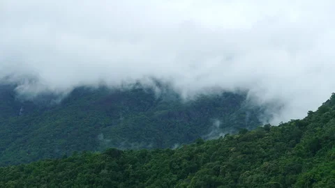 Dramatic cloud timelapse over a lush green mountain forest. 스톡 동영상 337285353