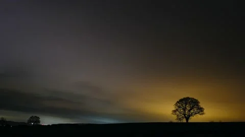 Dramatic Cloud Tree Silhouette Timelapse Stock Footage