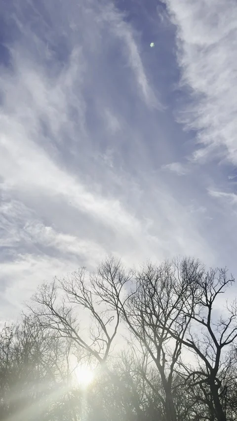 Dramatic Clouds Above Bare Trees at Sunset Stock Footage 344601360