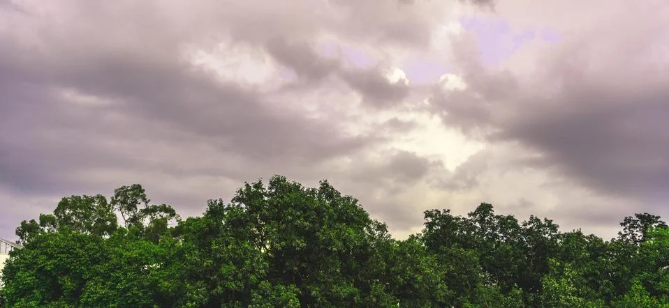 Dramatic clouds and dense green trees beneath it in the forests Stock Photos