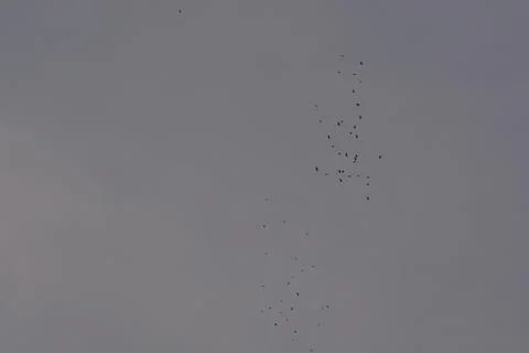 Dramatic clouds in the eastern sky with the sun rises behind it Stock Photos