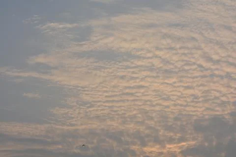 Dramatic clouds in the eastern sky with the sun rises behind it Stock Photos