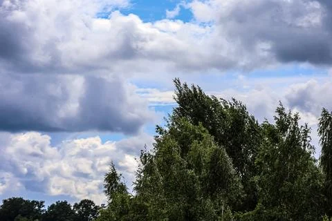 Dramatic clouds gather over a lush green forest canopy on a windy day 写真素材