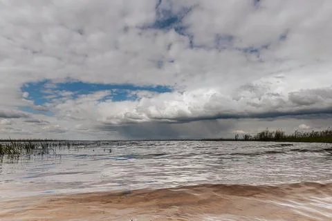 Dramatic clouds loom over a lake shoreline, with distant rainfall visible. Stock Photos