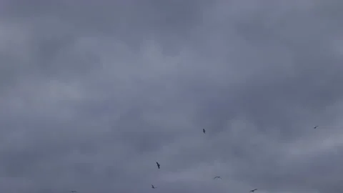 Dramatic Clouds motion time-lapse Stock Footage 145880149