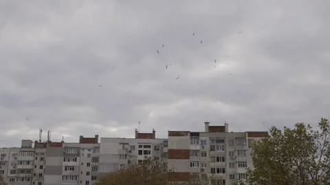 Dramatic Clouds motion time-lapse Video stock 145880551