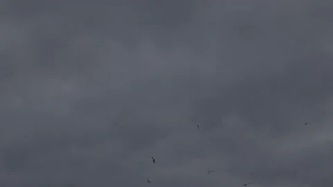 Dramatic Clouds motion time-lapse Stock Footage 145881020