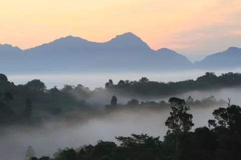 Dramatic clouds with mountain and tree in the morning Foto stock