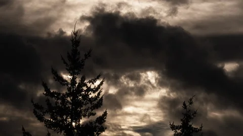 Dramatic clouds moving in the morning sky above tree line silhouette Stock Footage 337676429