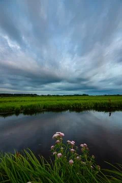 Dramatic clouds over the Dutch polder landscape Foto stock
