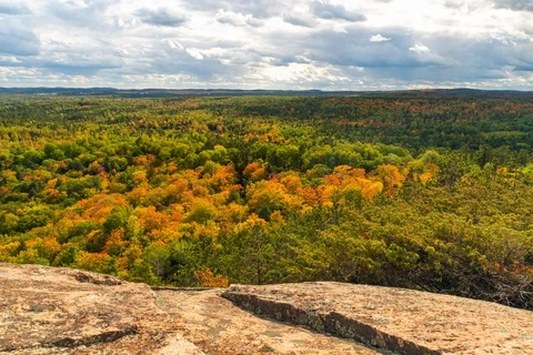 Dramatic clouds over fall forest Stock-Footage 128654044