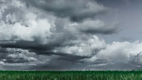 Dramatic clouds over the green field Stock Footage 87800235