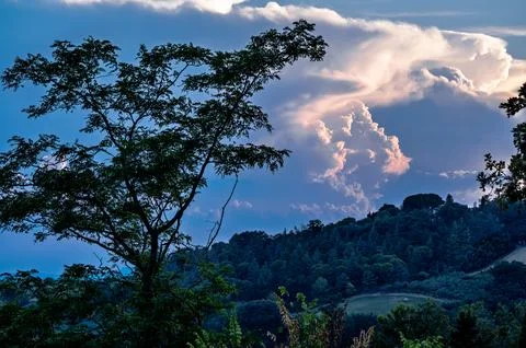 Dramatic clouds over Marche Romagna border with silhouetted Robinia pseudoa.. Stock Photos