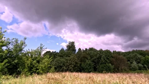 Dramatic clouds over meadow and trees before summer rain Stock Footage 321241831