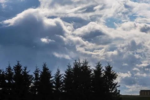 Dramatic clouds with silhouetted evergreen trees against a blue sky 库存照片