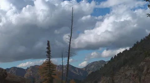 Dramatic Clouds, Trees, and Mountains Video stock 11214408