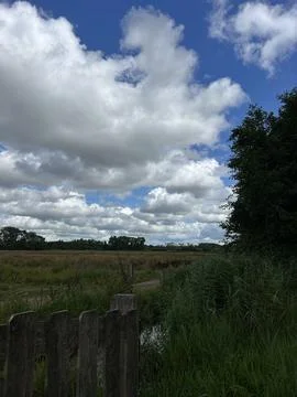 Dramatic cloudscape above grassy wetland meadow with wooden fence, distant Fotos Stock