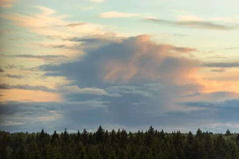 Dramatic cloudscape with cumulus clouds on sky at sunset above the forest Stock Photos