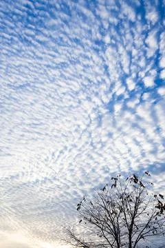 Dramatic cloudscape over a tropical forest. Stock-Fotos