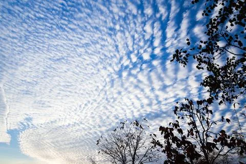 Dramatic cloudscape over a tropical forest. Stock Photos