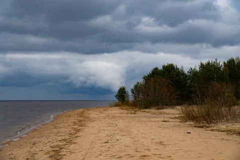 Dramatic Cloudy Beach with Pine Forest Stock Photos