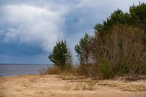 Dramatic Cloudy Beach with Pine Forest Stock Photos