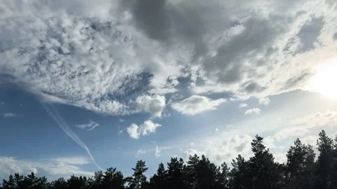Dramatic cloudy rainy sky over pine forest, sunlit summer landscape  Vidéo 336103590