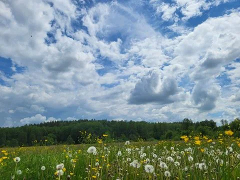 Dramatic cloudy sky above natural landscape horizon Stock Photos