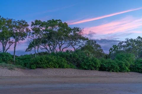 Dramatic cloudy sky and trees herver bay Foto stock