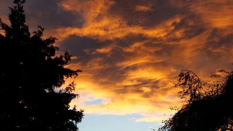 A dramatic cloudy sky in the evening Stock Footage 89904836