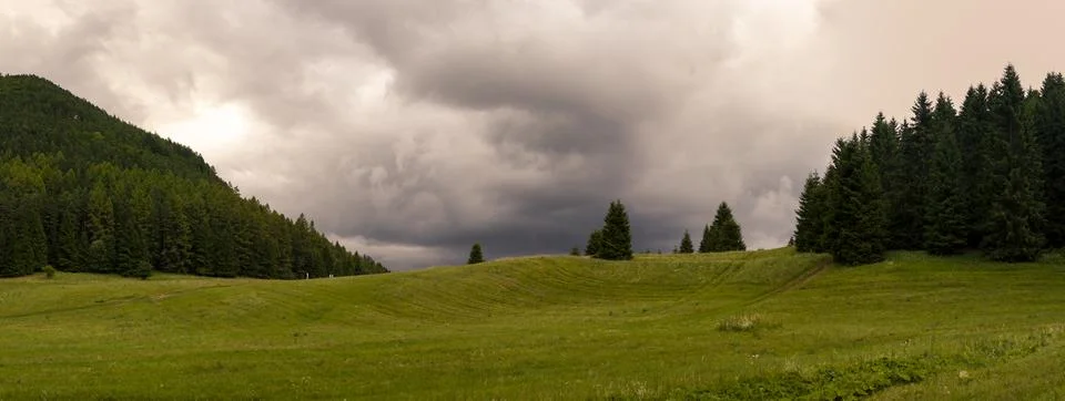 Dramatic cloudy sky hanging above vibrant green meadow and dense spruce for.. Stock Photos