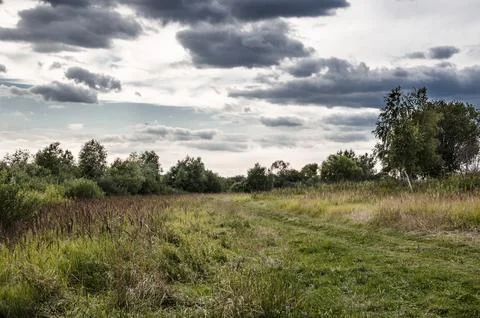Dramatic cloudy sky over a field with grass and trees. Stock Photos