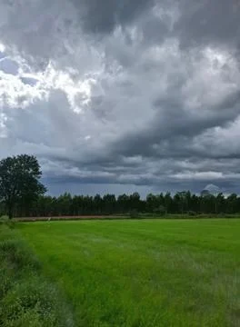 Dramatic Cloudy Sky Over Lush Green Field with Trees in Background Stock Photos