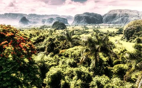 Dramatic cloudy sky over lush green valley with mogotes and palm trees in V.. Foto stock