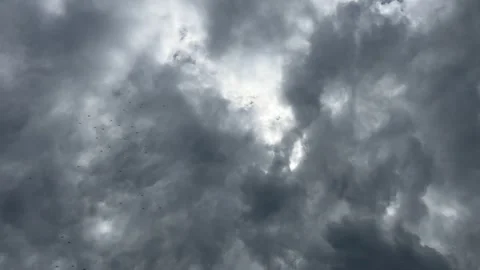 Dramatic Cloudy Sky with Sunlight Over the Netherlands Atmospheric Cloudscape Stock-Footage 343001393