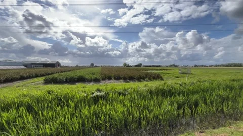 Dramatic Cloudy Sky with Sunlight Over the Netherlands Atmospheric Cloudscape 動画素材 343001866